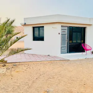 Safari Desert Camp in Wüste:  Oman Safari Desert Camp