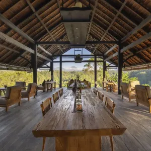 Buahan - a Banyan Tree Escape in Zentral-Bali | Ubud:  Buahan A Banyan Tree Escape The Botanist Bar