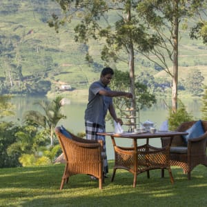 Ceylon Tea Trails in Hatton:  Ceylon Tea Trails