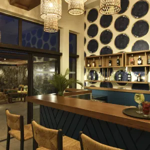 Constance Tekoma Rodrigues:  Constance Tekoma Rodrigues - Bar