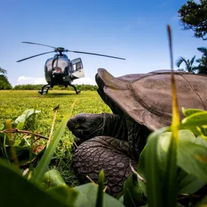 Labriz Silhouette Seychelles in Outer Islands:  Hilton Seychelles Labriz - Grand Barbe Heli