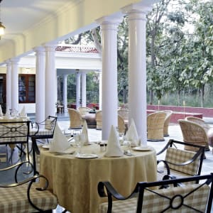 Taj Sawai Madhopur in Ranthambore NP:  Indien Jaipur Taj Sawai Madhopur Restaurant