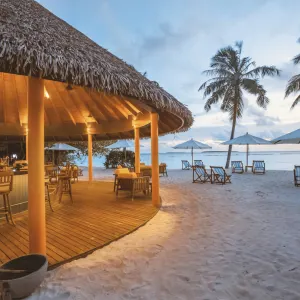 Reethi Faru Resort in Malediven:  Malediven Reethi Faru Resort Bar