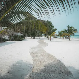 The Secret Garden Koh Rong in Sihanoukville & Inseln:  Kambodscha The Secret Garden Koh Rong