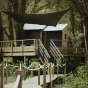 Kanopea Forest Lodge in Zentral La Réunion:  Kanopea Forest Lodge