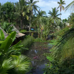 Maison Dalabua in Luang Prabang:  Laos Maison Dalabua
