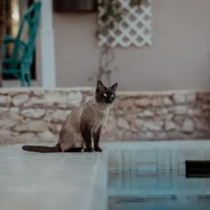 Les Jardins de Villa Maroc in Essaouira:  Les Jardins du Villa Maroc
