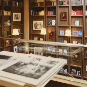 Shiba Park Hotel in Tokio:  Tokio Shiba Park Hotel - Bibliothek