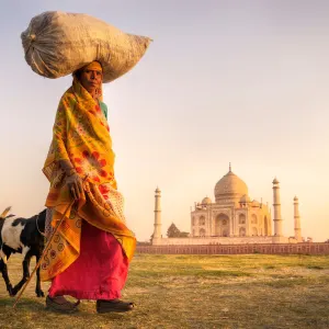 Incredible India ab Delhi: Indien Agra Taj Mahal