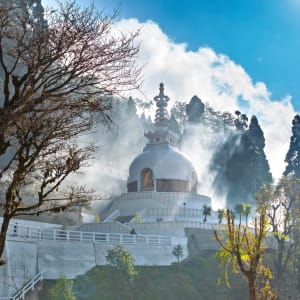 Faszinierendes Sikkim & Darjeeling ab Sikkim | Darjeeling | Bagdogra: Indien Darjeeling Friedenspagode