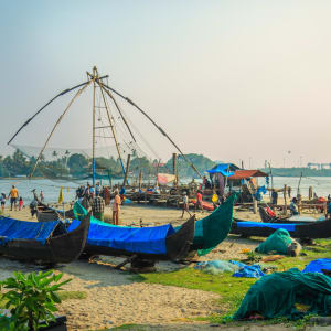 Kochi aktiv in Kerala | Malabarküste | Kochi: Indien Kerala Kochi Fischmarkt