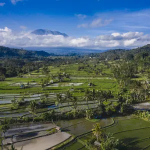 Zauberhaftes Sidemen ab Zentral-Bali | Ubud: Indonesien Bali Sidemen