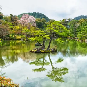 Bonsai - Japan zum Kennenlernen inkl. Flug ab Osaka: Japak Kyoto Kinkakuji Zen Garten