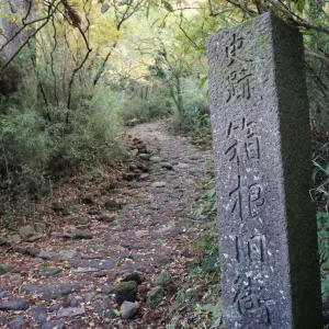 Soft Adventure Japan ab Tokio: Japan Hakone Tokaido Trail