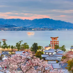 Westjapan entdecken mit dem Luxusbus ab Osaka: Japan Hiroshima Insel Miyajima