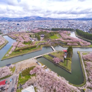 Von Hokkaido bis Tokio: Japan Hokkaido Hakodate Castle Sakura