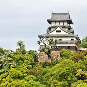 Nagoya & Mie ab Osaka: Japan Inuyama Burg