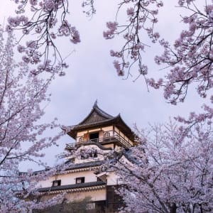 Große Japanreise mit dem Zug ab Tokio: Japan Inuyama Burg