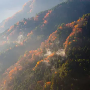 Magisches Shikoku - Mietwagenreise ab Osaka: Japan Shikoku Iya Valley Herbstlandschaft