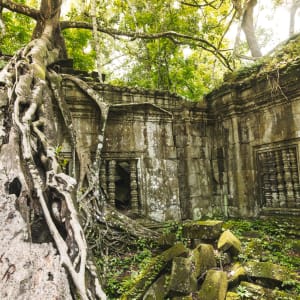 Khmer Tempel & Küste ab Siem Reap: Kambodscha Beng Mealea