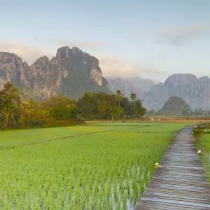 Ebene der Tonkrüge & Vang Vieng ab Luang Prabang: Laos Vang Vieng Reisfeld