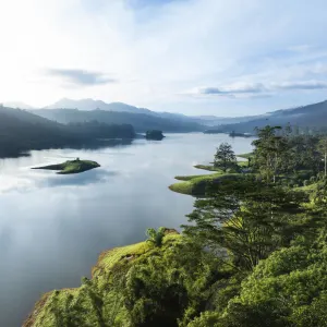 Ceylon Tea Trails in Hatton:  Ceylon Tea Trails