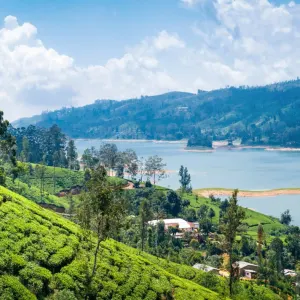 Uga Halloowella in Hatton:  Indien Uga Halloowella