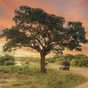 Wild Coast Tented Lodge in Yala National Park:  Wild Coast Tented Lodge