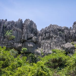 Diego Suarez & Nosy Be ab Antananarivo: Madagaskar Ankarana Nationalpark