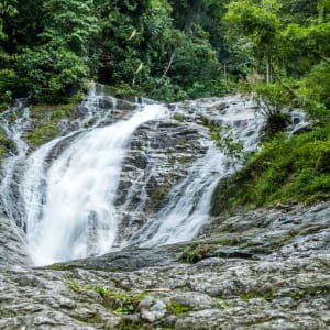 Überland von Kuala Lumpur bis Penang: Malaysia Cameron Highlands Late Iskandar Wasserfall