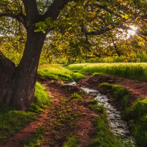 Das Tal der Glücklichen ab Marrakesch: Marokko Ait Bougmez 