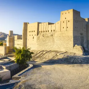 Oman Intensiv ab Muscat: Oman Bahla Fort