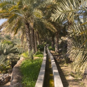 Den Oman 'Erfahren' ab Muscat: Oman Falaj Wassersystem
