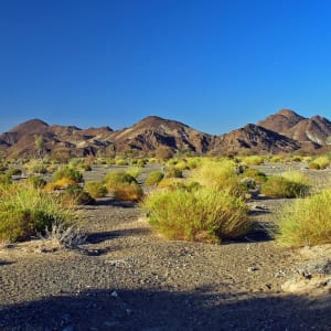 Wüstenerlebnis Rub al Khali ab Salalah: Oman Rub al Khali