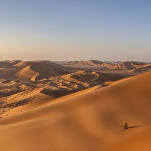 Auf den Spuren der Weihrauchroute ab Salalah: Oman Rub al Khali