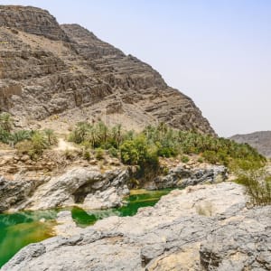 Wadi Dayqah & Wadi Al Arbaeen, EN, Ganztägig in Muscat: Oman Wadi Al Arbeieen