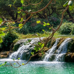 Wandern Wadi Darbat in Salalah: Oman Wadi Darbat