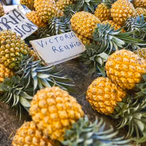 La Réunion Deluxe ab Küstenregion: Reunion Markt Ananas