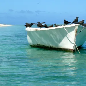 Rodrigues entdecken: Rodrigues Ile aux Cocos