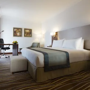 Copthorne Downtown in Abu Dhabi:  Abu Dhabi Copthorne Downtown - Deluxe Room