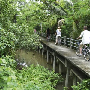 Fahrradtour Bangkok, EN, Halbtägig: Thailand Bangkok Fahrradtour