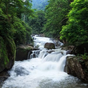 Isan - der verborgene Schatz Thailands ab Bangkok: Thailand Khao Yai Nationalpark