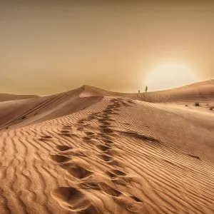 Wüstensafari Ras al Khaimah: VAE Ras al Khaimah Wüste