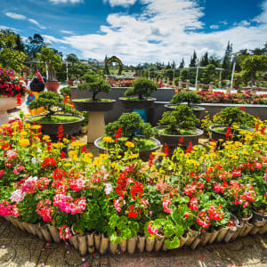 Zentrales Hochland und Dalat ab Saigon: Vietnam Dalat