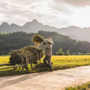 Impressionen Nord-Vietnams ab Hanoi: Vietnam Mai Chau Bauer