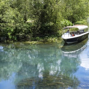 Mekong Delta mit dem Speedboot, EN, Ganztägig in Saigon: Vietnam Mekong