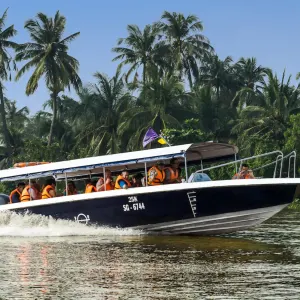 Mekong Delta mit dem Speedboot, EN, Ganztägig in Saigon: Vietnam Mekong Delta Speedboot