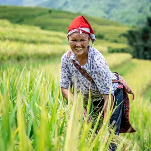 Natur & Kultur Sapa ab Hanoi: Vietnam Sapa Dao 