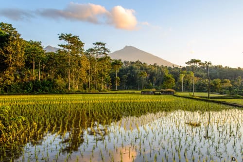 Lombok