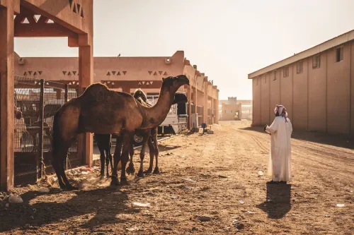 Al Ain